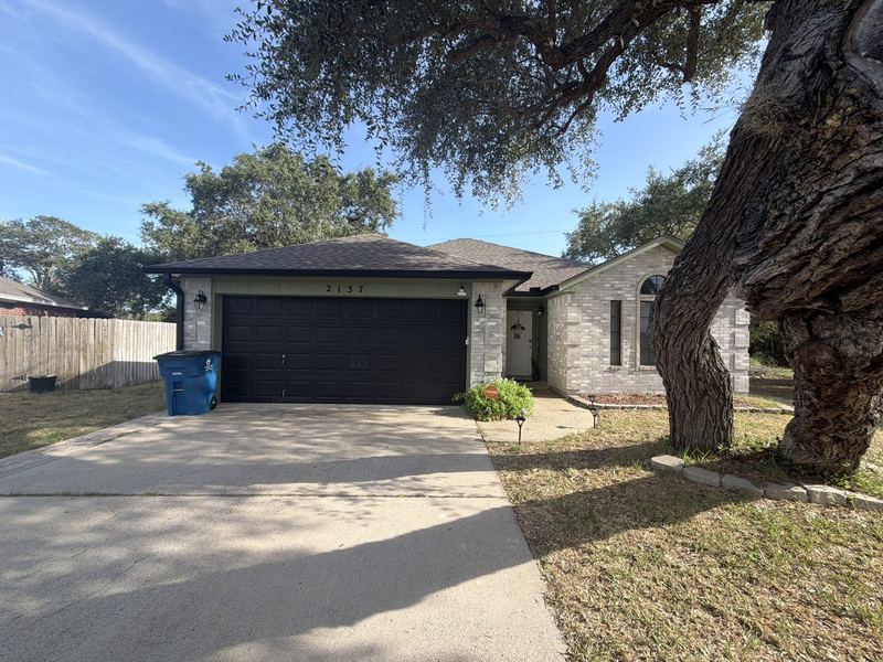 Light brick ranch under an oak with new seamless gutters in the Coastal Bend